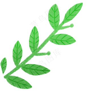 绿色的春季自然植物