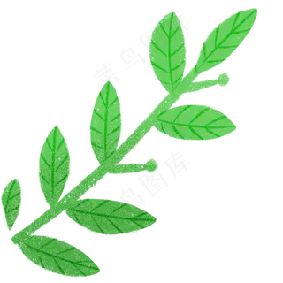 绿色的春季自然植物