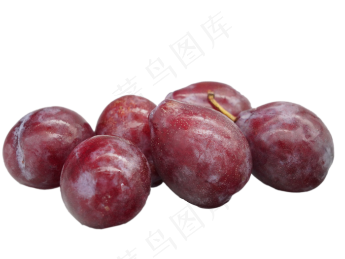 西梅有机进口水果