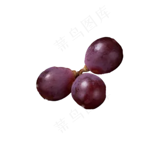 葡萄实物免扣下载