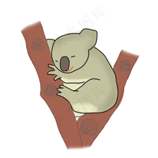 澳大利亚哺乳动物爬树可爱考拉