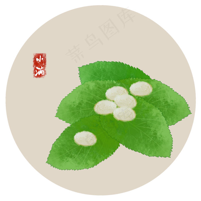 小满祈蚕24节气小满习俗,免抠元素