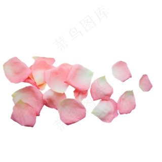 粉红色玫瑰花瓣