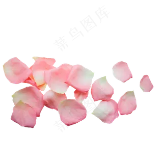 粉红色玫瑰花瓣