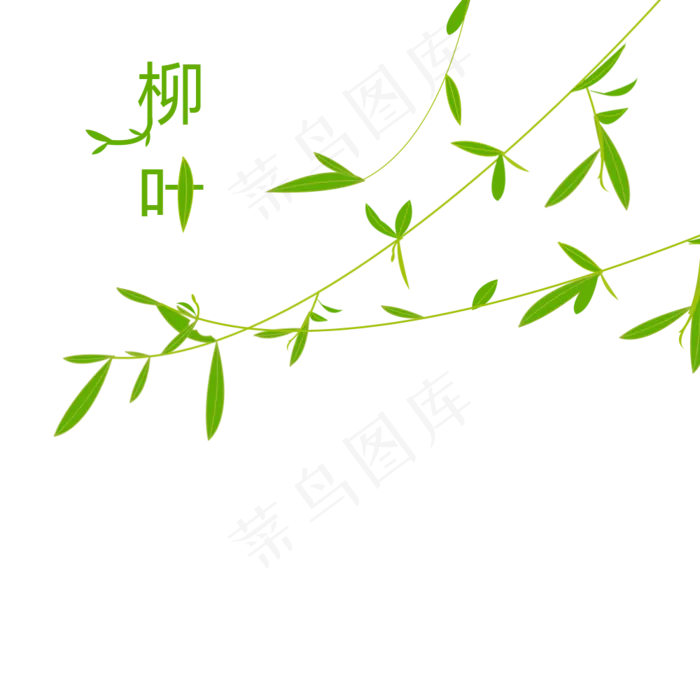 分发芽的三条嫩绿柳叶,免抠元素(1000X1000(DPI:1000))psd模版下载
