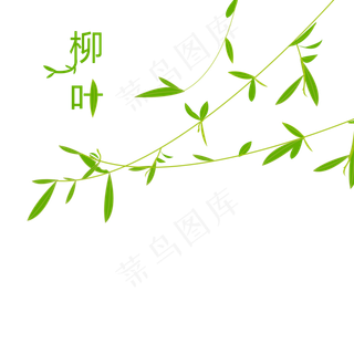 分发芽的三条嫩绿柳叶,免抠元素