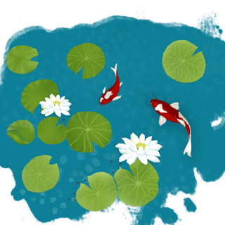 夏季夏天池塘荷叶荷花鲤鱼