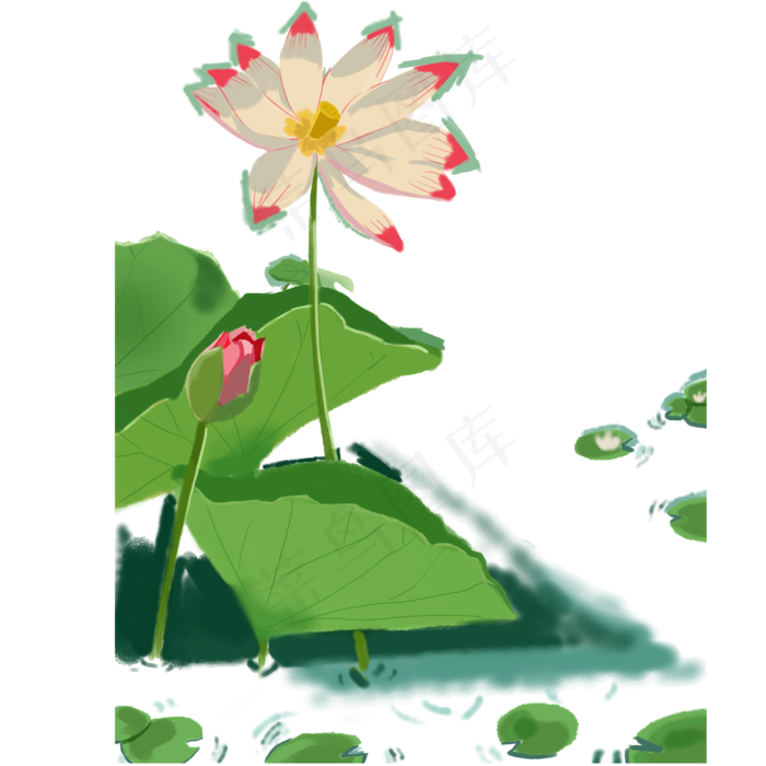 绚丽开放的荷花(2000X2000(DPI:300))psd模版下载