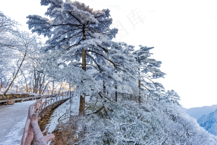 栏杆松树和白雪,免抠元素