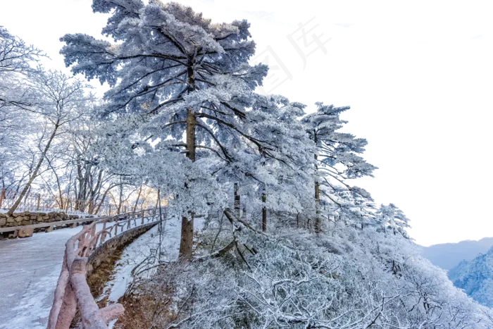 栏杆松树和白雪,免抠元素(3000*2000px 300 dpi )