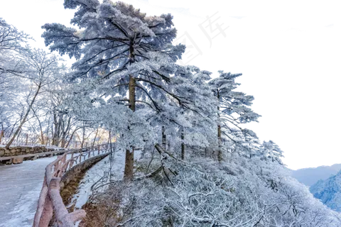 栏杆松树和白雪,免抠元素 栏杆松树和白雪,免抠元素