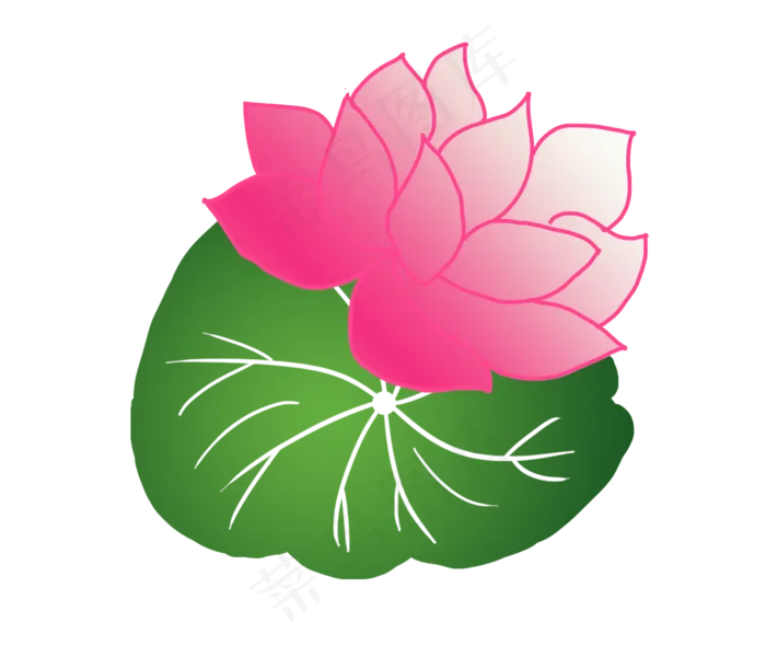 唯美荷花荷叶插图(2333X2000(DPI:300))psd模版下载
