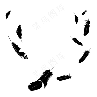 黑色羽毛飘落,免抠元素