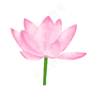荷花扁平风水彩中国风桃花粉紫色
