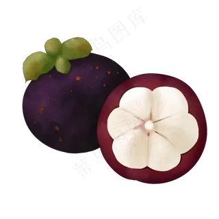 手绘切开的山竹插图