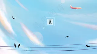 夏日天空中小鸟停在电线杆上飞机在飞
