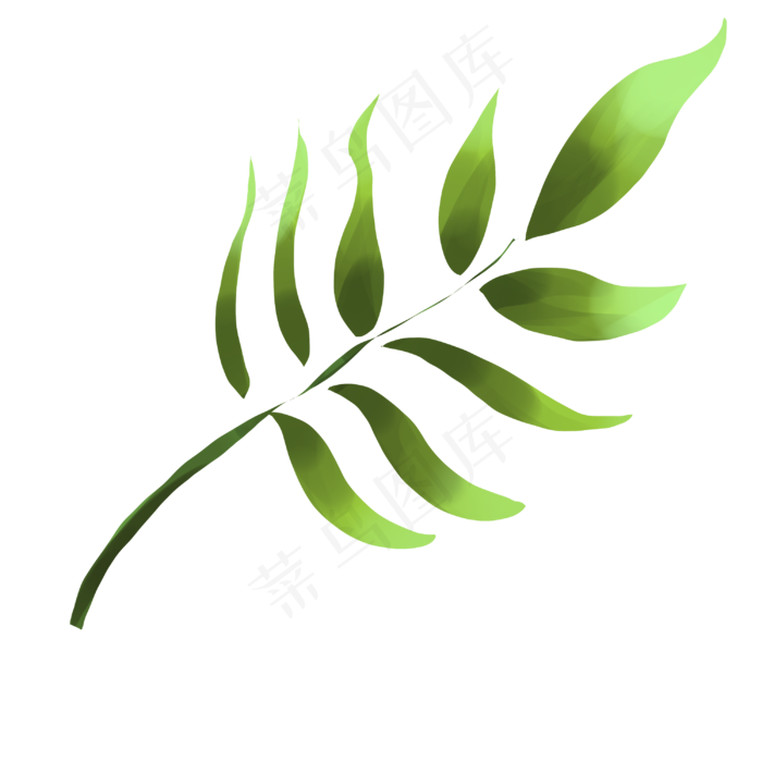 春季植物树叶插画