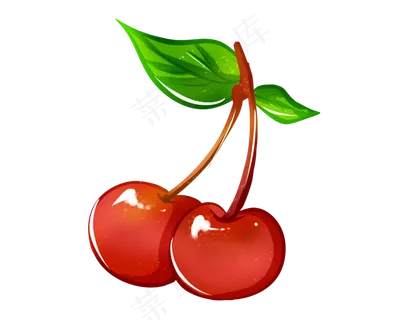 水果红色樱桃