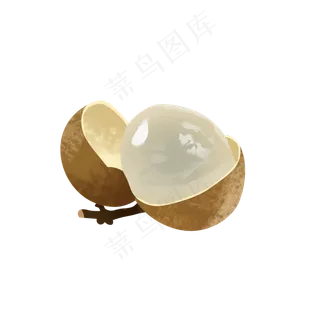 手绘桂圆写实png免抠素材