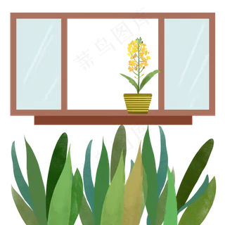 春天油菜花绿色叶子