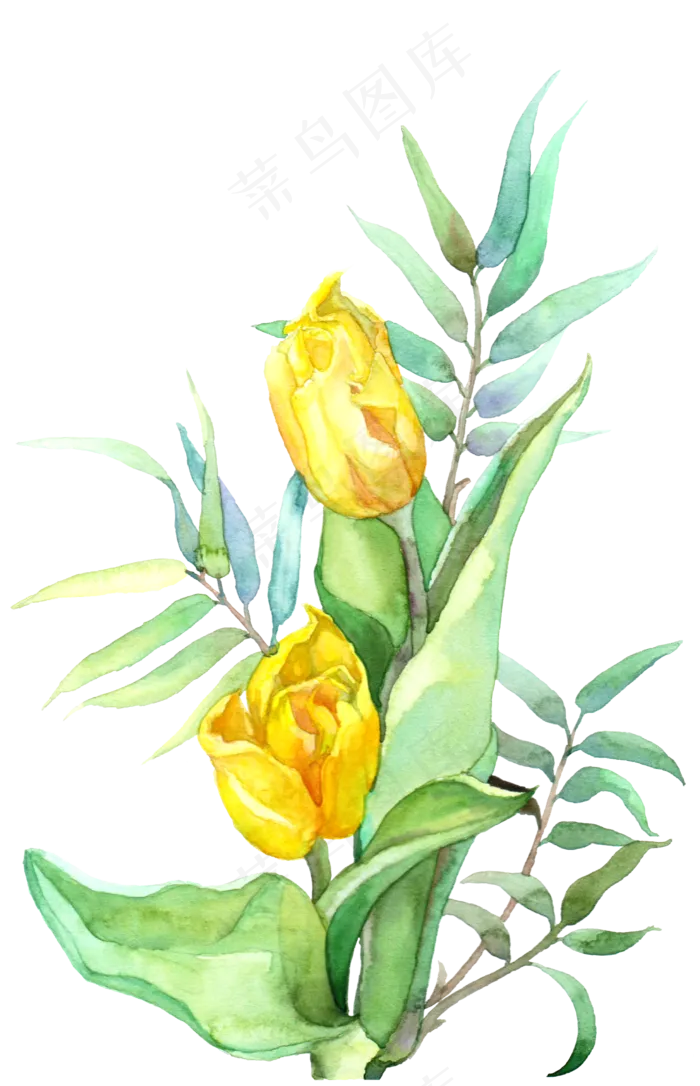 手绘黄色的玫瑰水彩花卉(1736X2693(DPI:300))psd模版下载