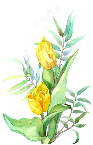 手绘黄色的玫瑰水彩花卉