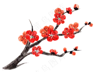 水墨手绘梅花花枝