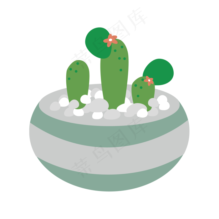 绿色多肉植物