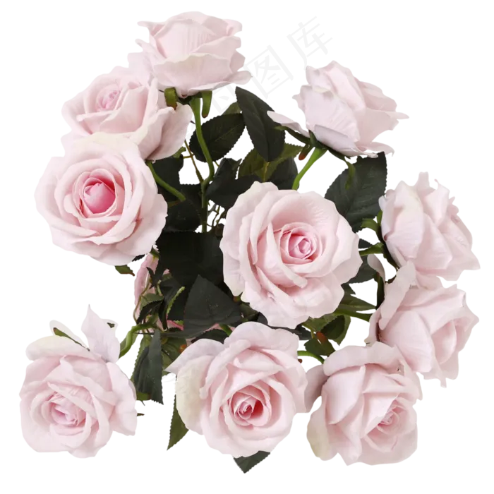 仿真玫瑰(2000X2000(DPI:300))