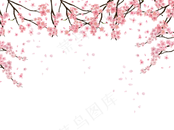 樱花边框(4000X3000(DPI:300))psd模版下载