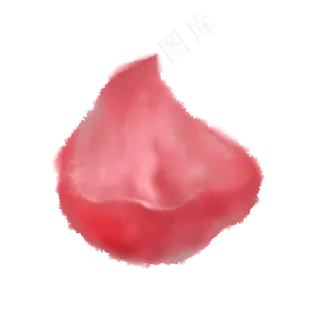 单片漂浮玫瑰花瓣