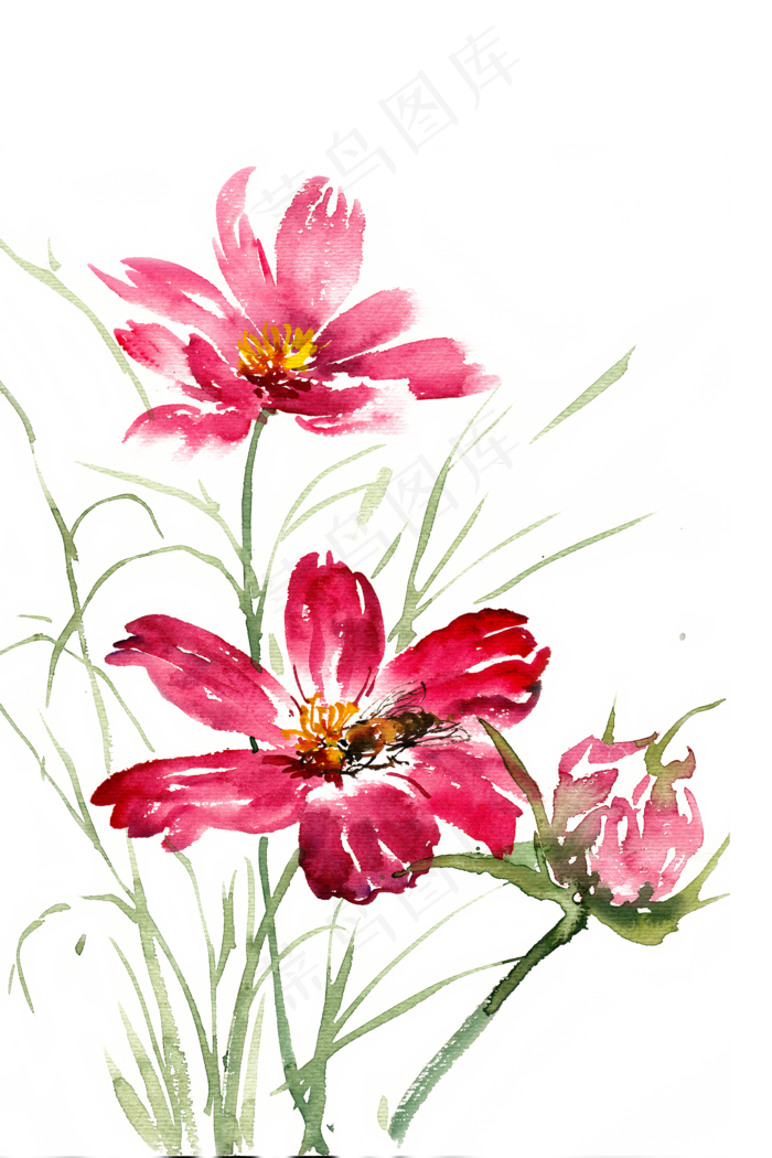 水彩画红色格桑花(4724X7087(DPI:300))psd模版下载