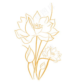 金色花金边荷花中国风