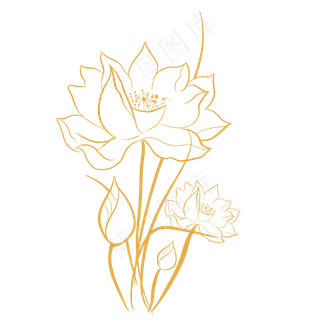 金色花金边荷花中国风
