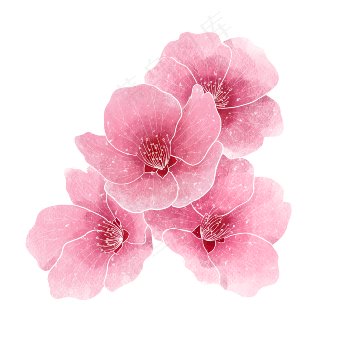 水彩春季植物粉色花朵