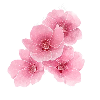 水彩春季植物粉色花朵