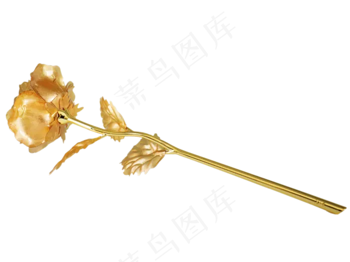 黄金玫瑰花(2000X2000(DPI:300))