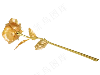 黄金玫瑰花