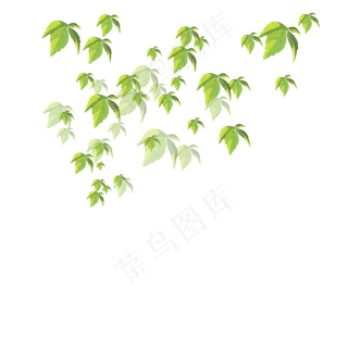 手绘植物树叶漂浮的叶子