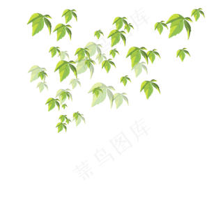 手绘植物树叶漂浮的叶子