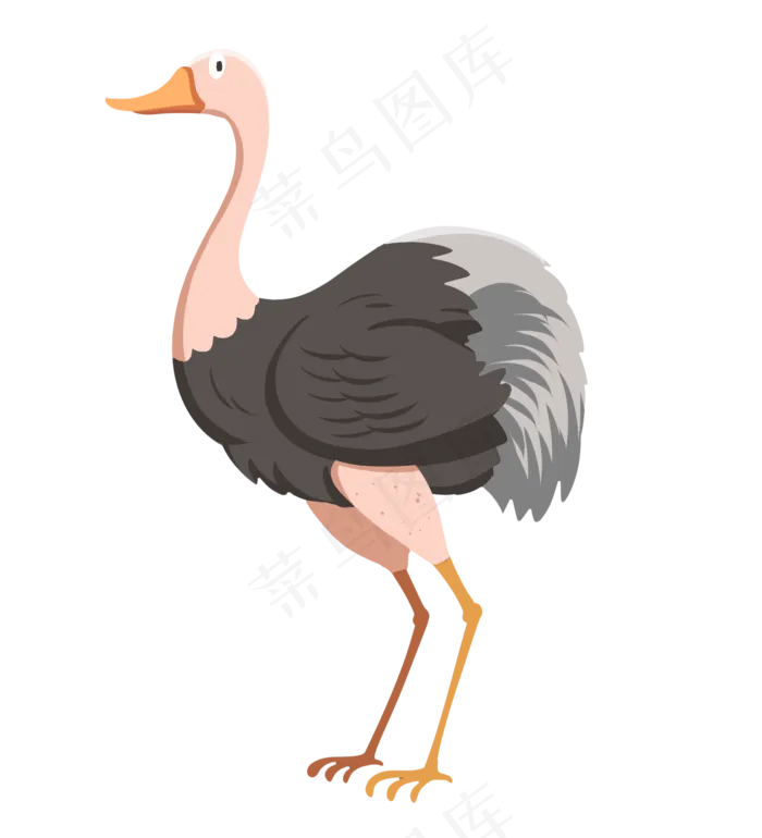 小动物鸵鸟,免抠元素(2000X2200(DPI:300))psd模版下载