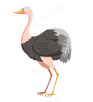 小动物鸵鸟,免抠元素