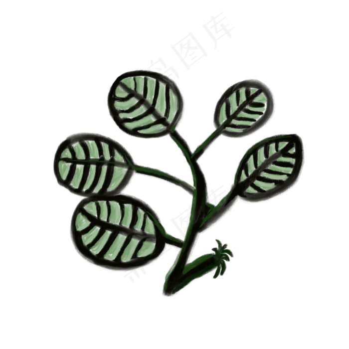 五片叶子插图免抠装饰(2000X2000(DPI:132))psd模版下载