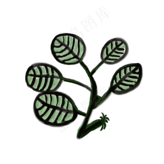五片叶子插图免抠装饰