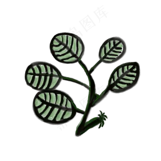 五片叶子插图免抠装饰