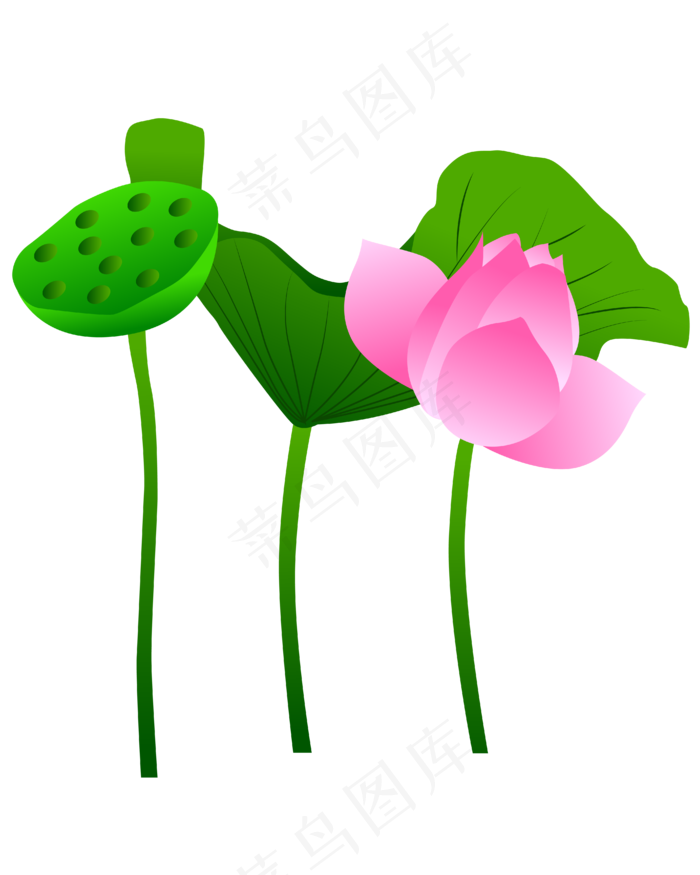 手绘卡通免扣荷花