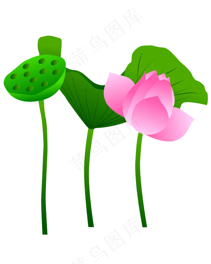 手绘卡通免扣荷花(2000X2000(DPI:300))ai矢量模版下载