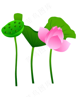 手绘卡通免扣荷花