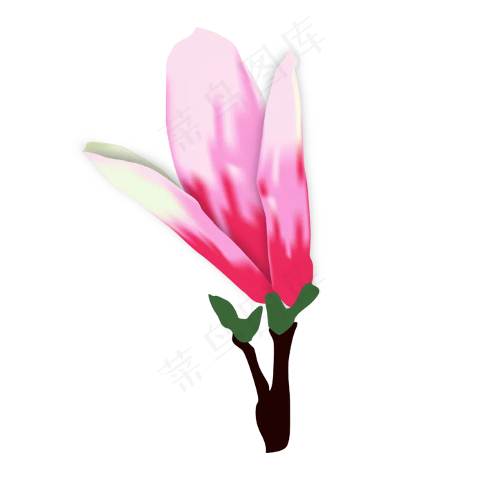 矢量免扣卡通玉兰花,免抠元素(4167*4167px 300 dpi )ai矢量模版下载
