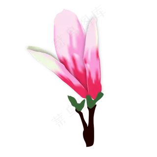 矢量免扣卡通玉兰花,免抠元素